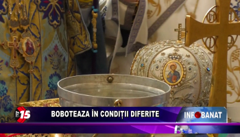 Boboteaza în condiții diferite