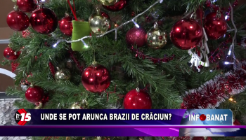 Unde se pot arunca brazii de Crăciun?