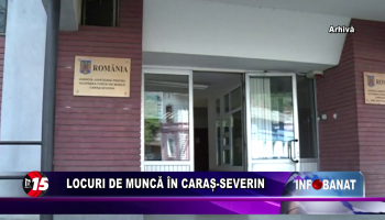 Locuri de muncă în Caraș-Severin