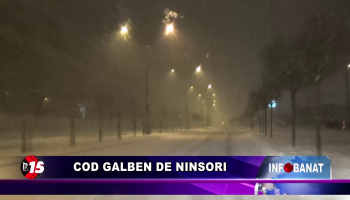 Cod galben de ninsori