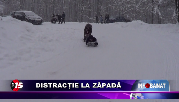 Distracție la zăpadă