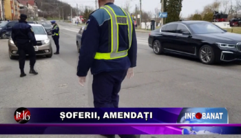 Șoferii, amendați