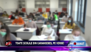 Toate școlile din Caransebeș, pe verde!