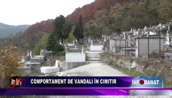 Comportament de vandali în cimitir