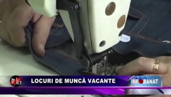 Locuri de muncă vacante