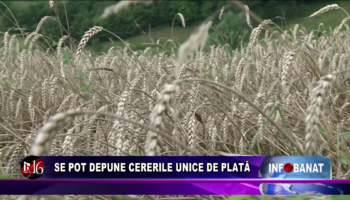 Se pot depune cererile unice de plată