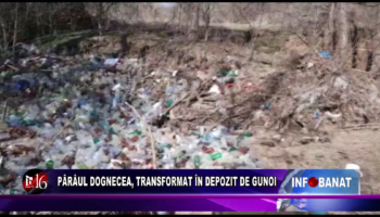 Pârâul Dognecea, transformat în depozit de gunoi