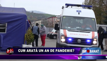 Cum arată un an de pandemie?