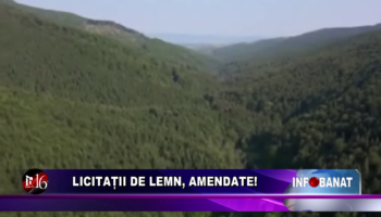 Licitații de lemn, amendate