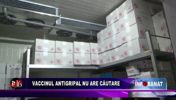 Vaccinul antigripal nu are căutare