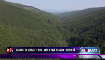 Pădurile cu suprafețe mici, luate în pază de Garda Forestieră