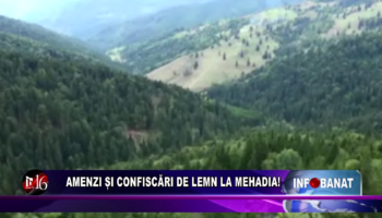 Amenzi și confiscări de lemn la Mehadia!