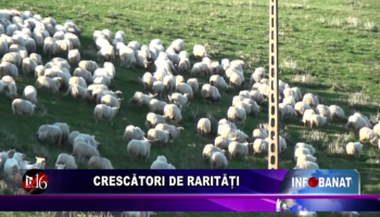 Crescători de rarități