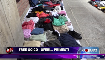 Free Ocico – oferi…    primești