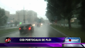 Cod portocaliu de ploi