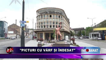 “Picturi cu vârf și îndesat”