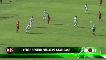 Verde pentru public pe stadioane