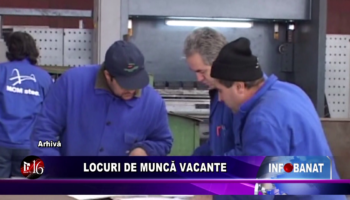 Locuri de muncă vacante