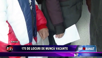 175 de locuri de muncă vacante