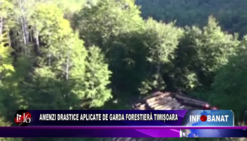 Amenzi drastice aplicate de Garda Forestieră Timișoara