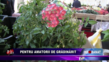 Pentru amatorii de grădinărit