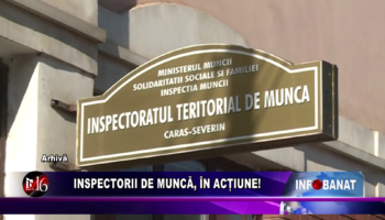 Inspectorii de muncă, în acțiune!