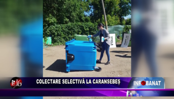 Colectare selectivă la Caransebeș