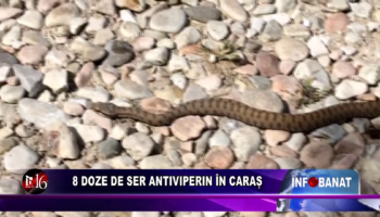 8 doze de ser antiviperin în Caraș