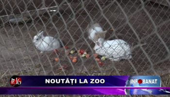 Noutăți la Zoo