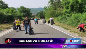 Carașova curată!