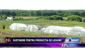 Susținere pentru producția de legume