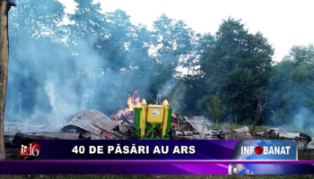 40 de păsări au ars