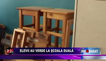 Elevii au verde la școala duală