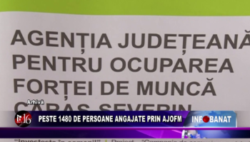 Peste 1480 de persoane angajate prin AJOFM