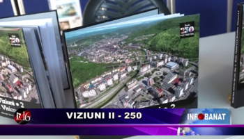 Viziuni II  – 250