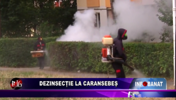 Dezinsecție la Caransebeș