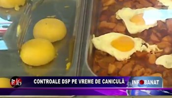 Controale DSP pe vreme de caniculă