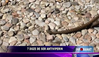 7 DOZE DE SER ANTIVIPERIN