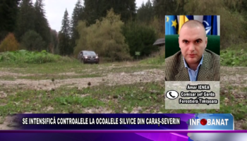 SE INTENSIFICĂ CONTROALELE LA OCOALELE SILVICE DIN CARAȘ – SEVERIN