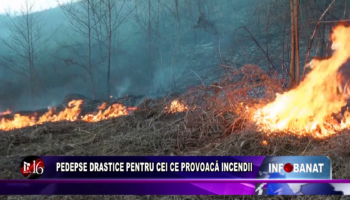 Pedepse drastice pentru cei ce provoacă incendii