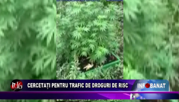 Cercetați pentru trafic de droguri de risc