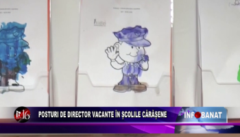 Posturi de director vacante în școlile cărășene