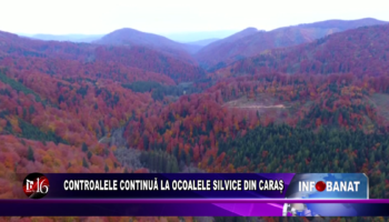 Controalele continuă la Ocoalele Silvice din Caraș