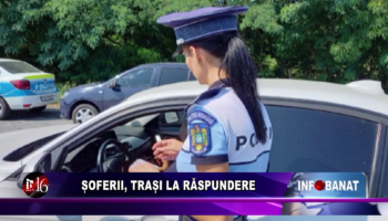 Șoferii, trași la răspundere