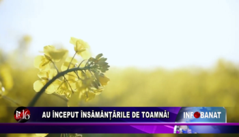 Au început însămânțările de toamnă!