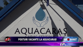 Posturi vacante la AquaCaraș!