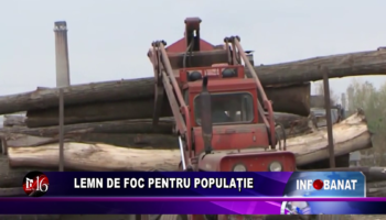 Lemn de foc pentru populație