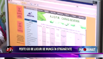 Peste 630 de locuri de muncă în străinătate