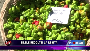 Zilele Recoltei la Reșița