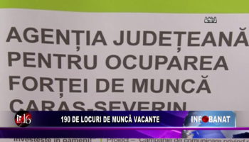 190 de locuri de muncă vacante